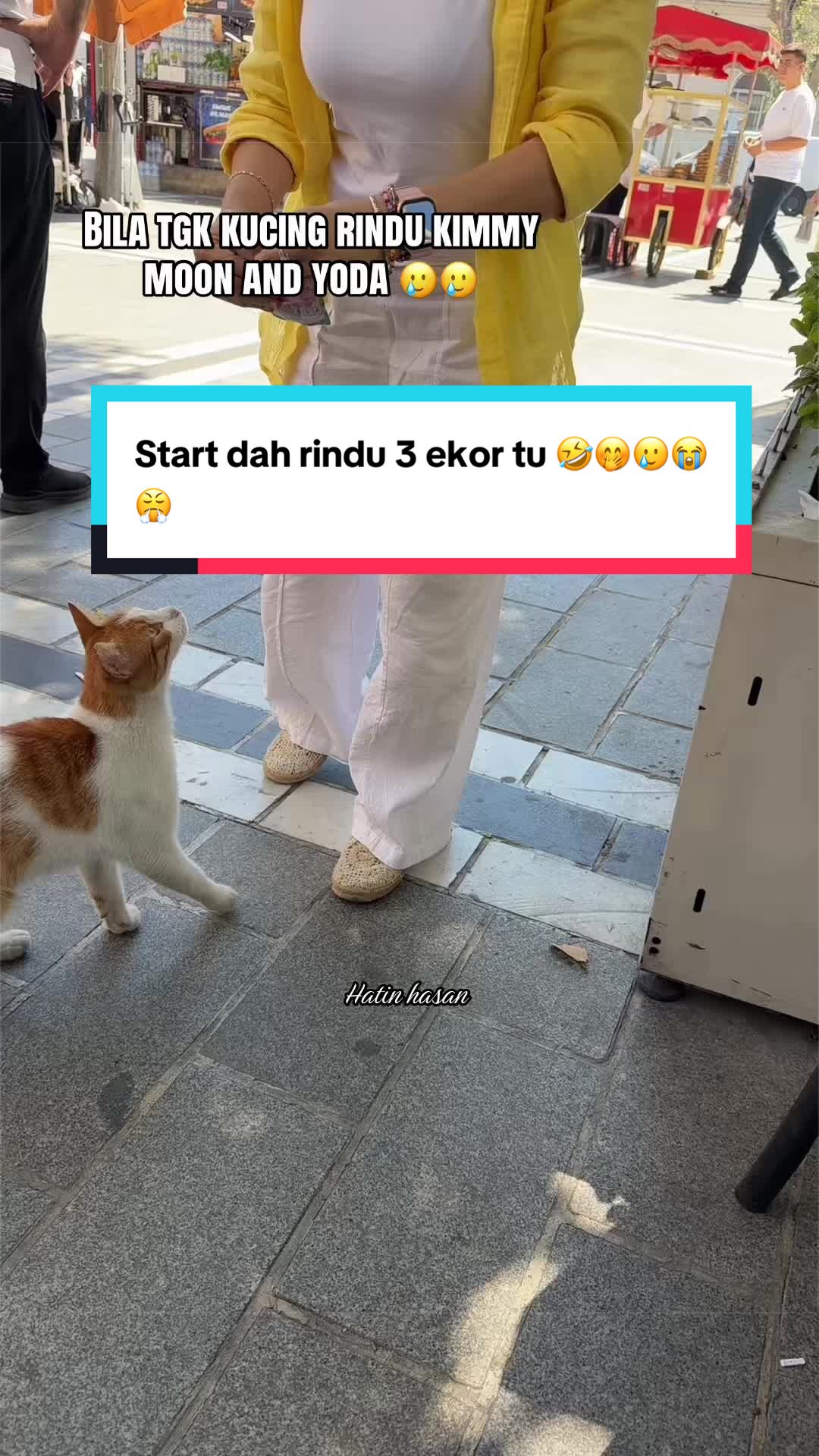 @Kimmy Pet Style