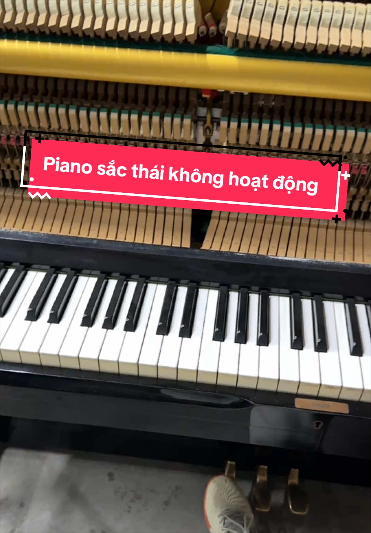 @Tr&iacute; Hiền