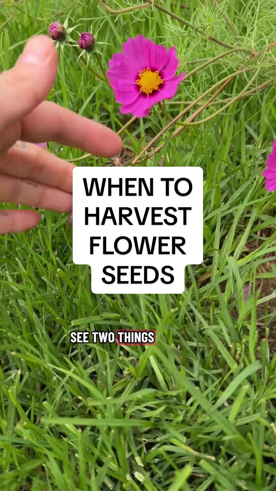 @busy chris gardening