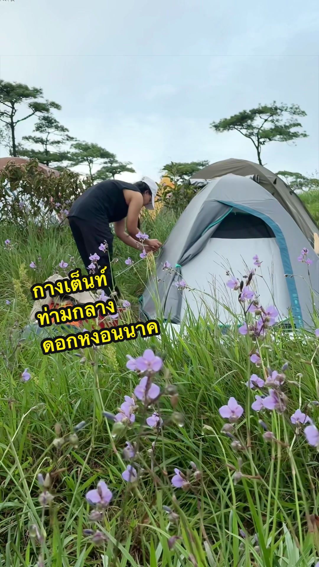 @คู แป้ง