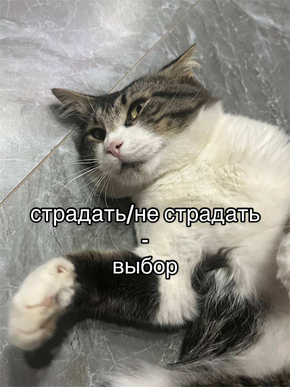 @мамин хep