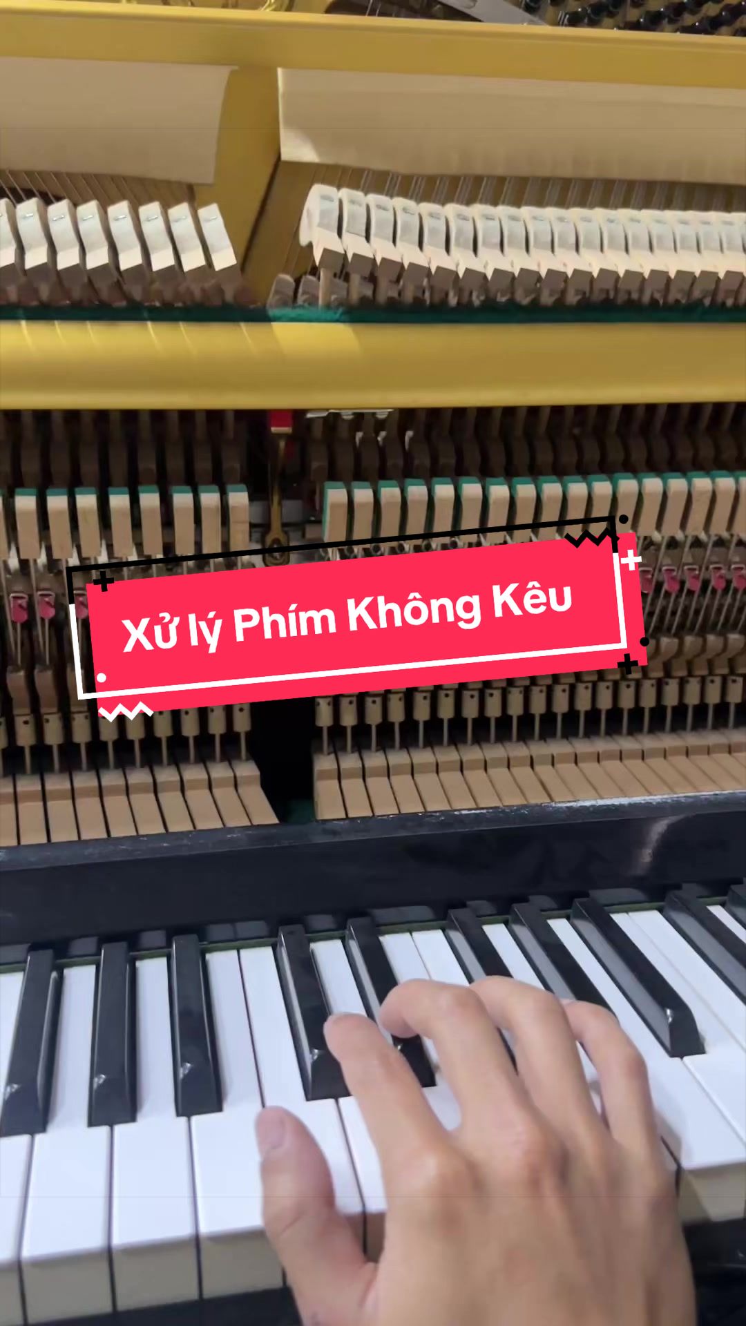 @Tr&iacute; Hiền