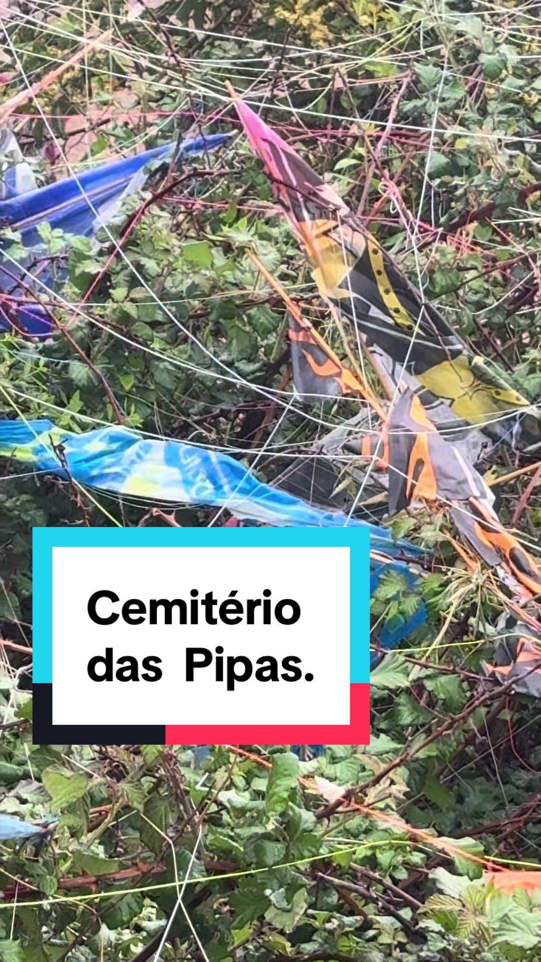 @Familia Passarinho