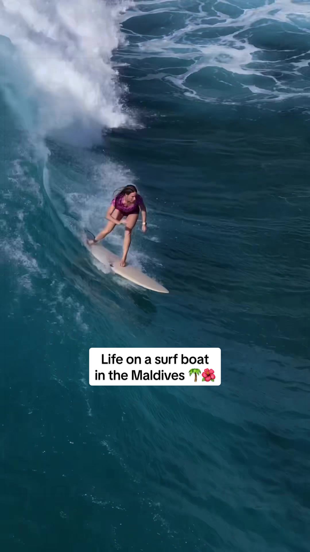 @Laura 🤙🏽 Froth Nugget