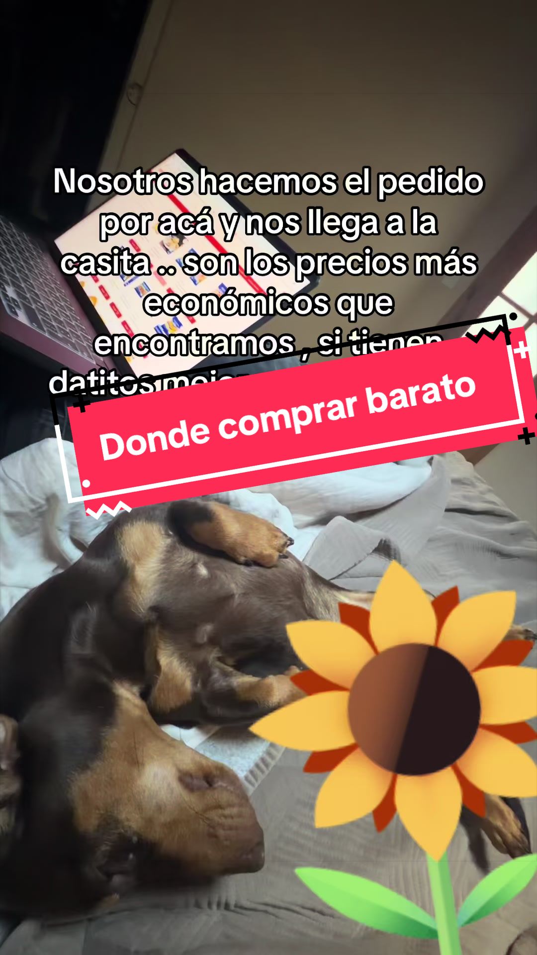 @antobrillitos