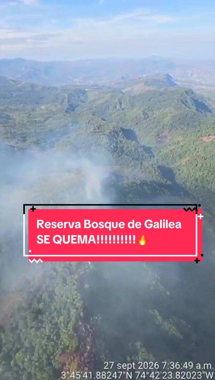 @luisabohorquezr