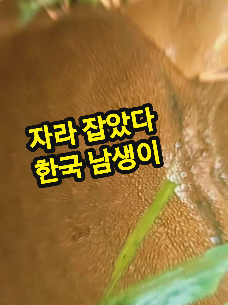 @보통남자