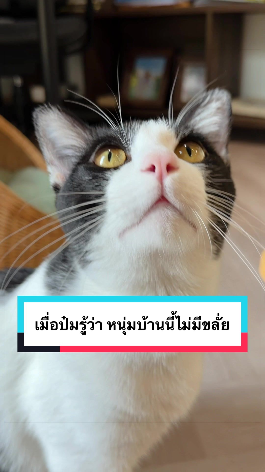 @คิมบับครับผม