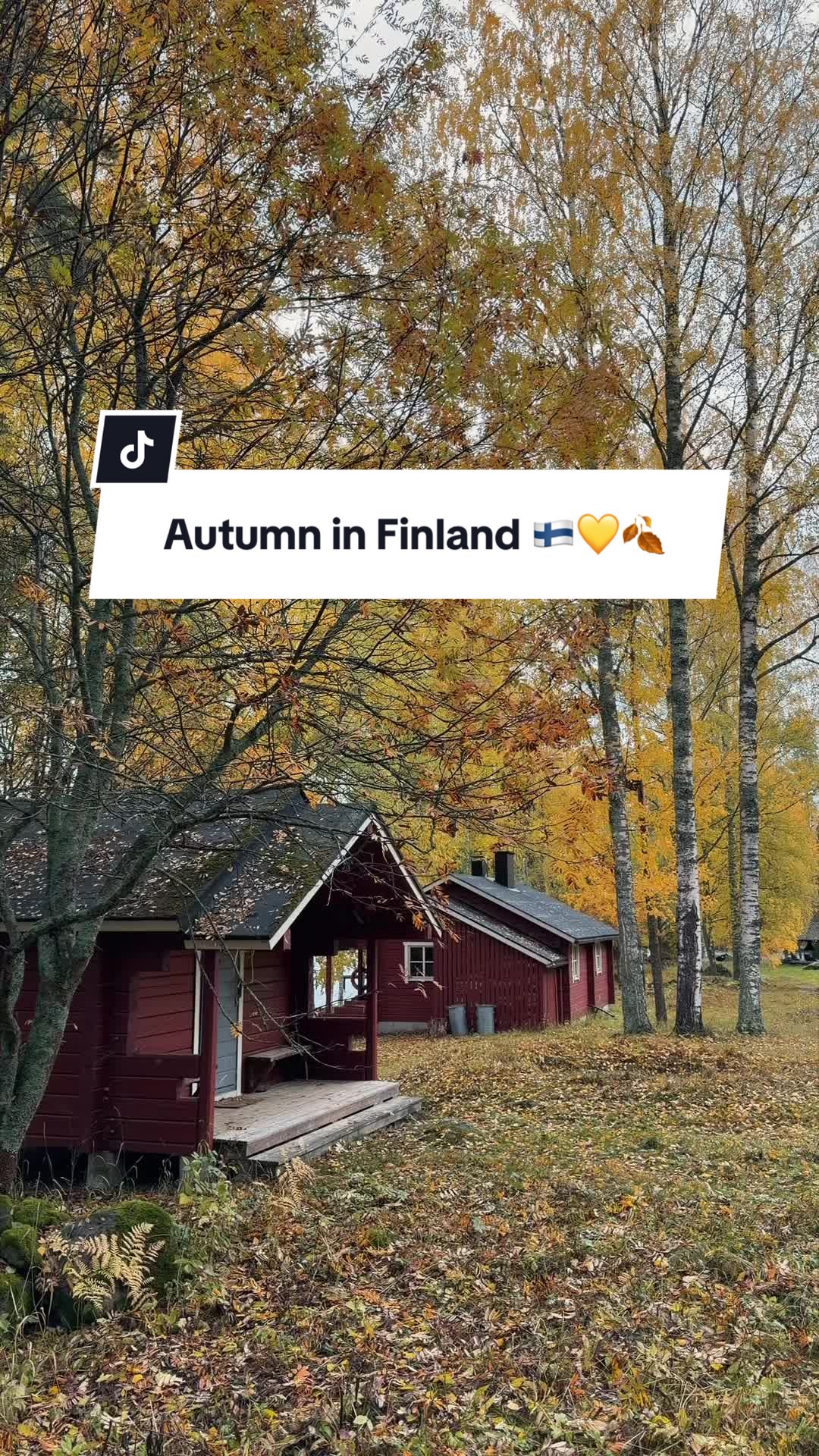 @Josué | MEX 🇲🇽 in FIN 🇫🇮