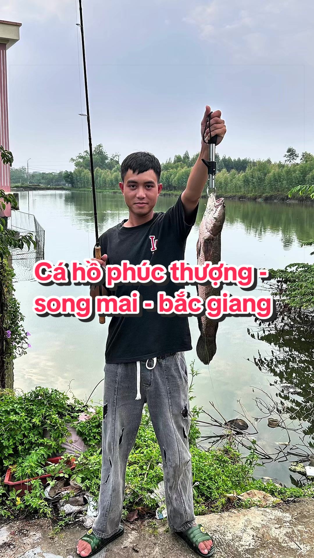 @Sơn toạ độ