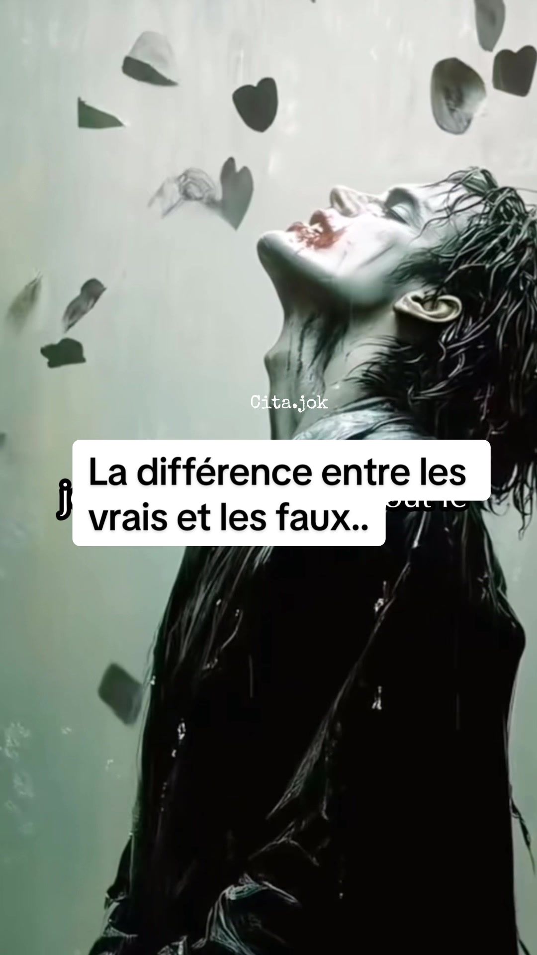 @Cita.jok