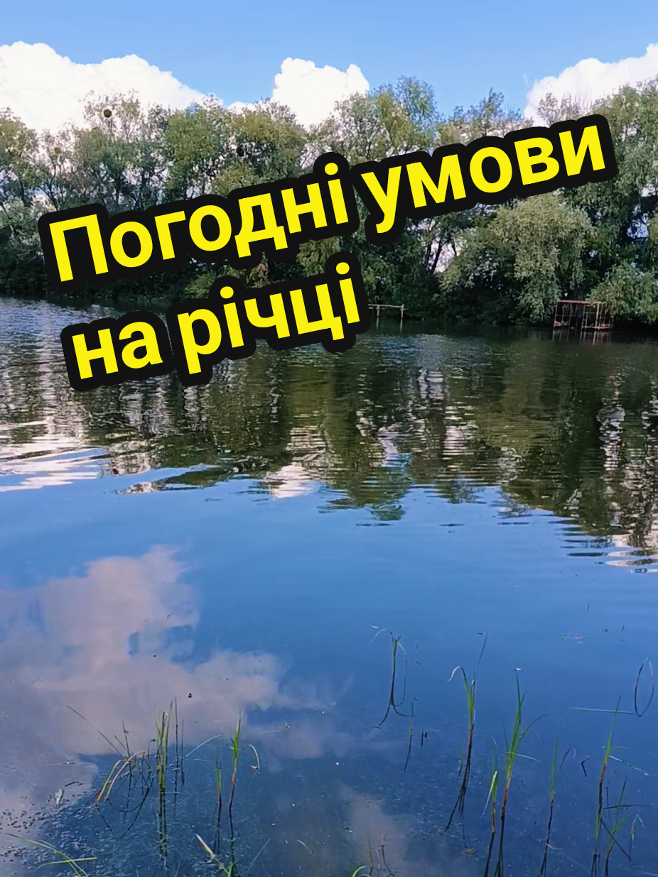 @Mister._Pit