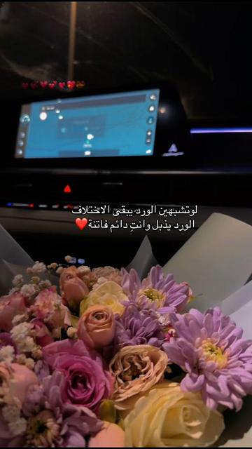 @أميرة الزهراني..موثوق