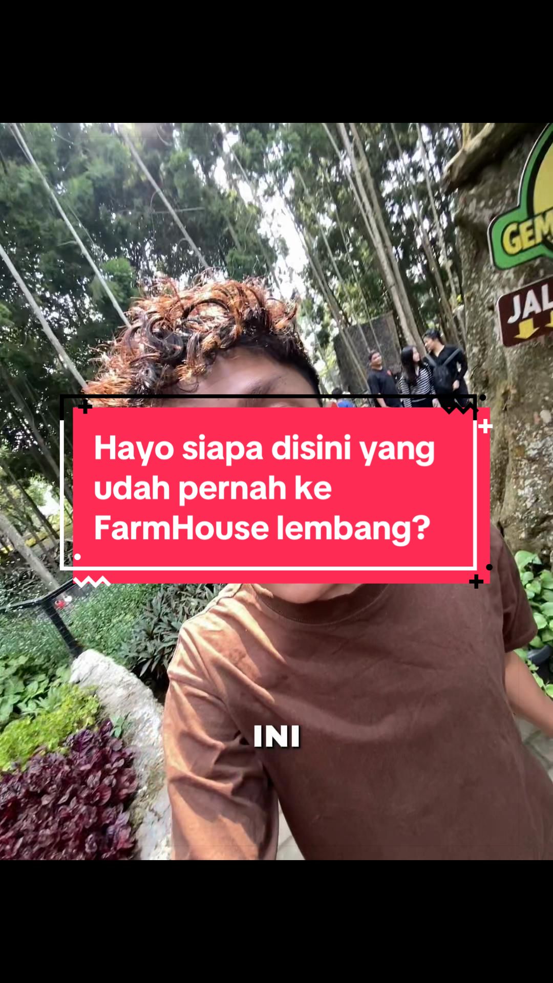 @fahry🐬