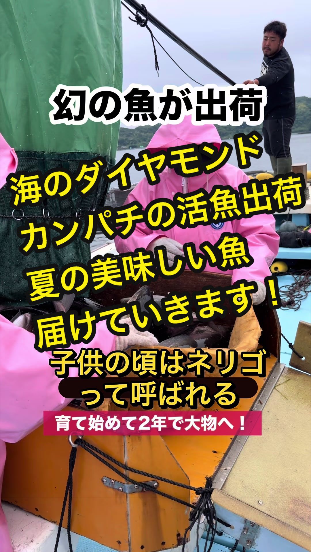 @長崎のイケメン漁師@坂野水産
