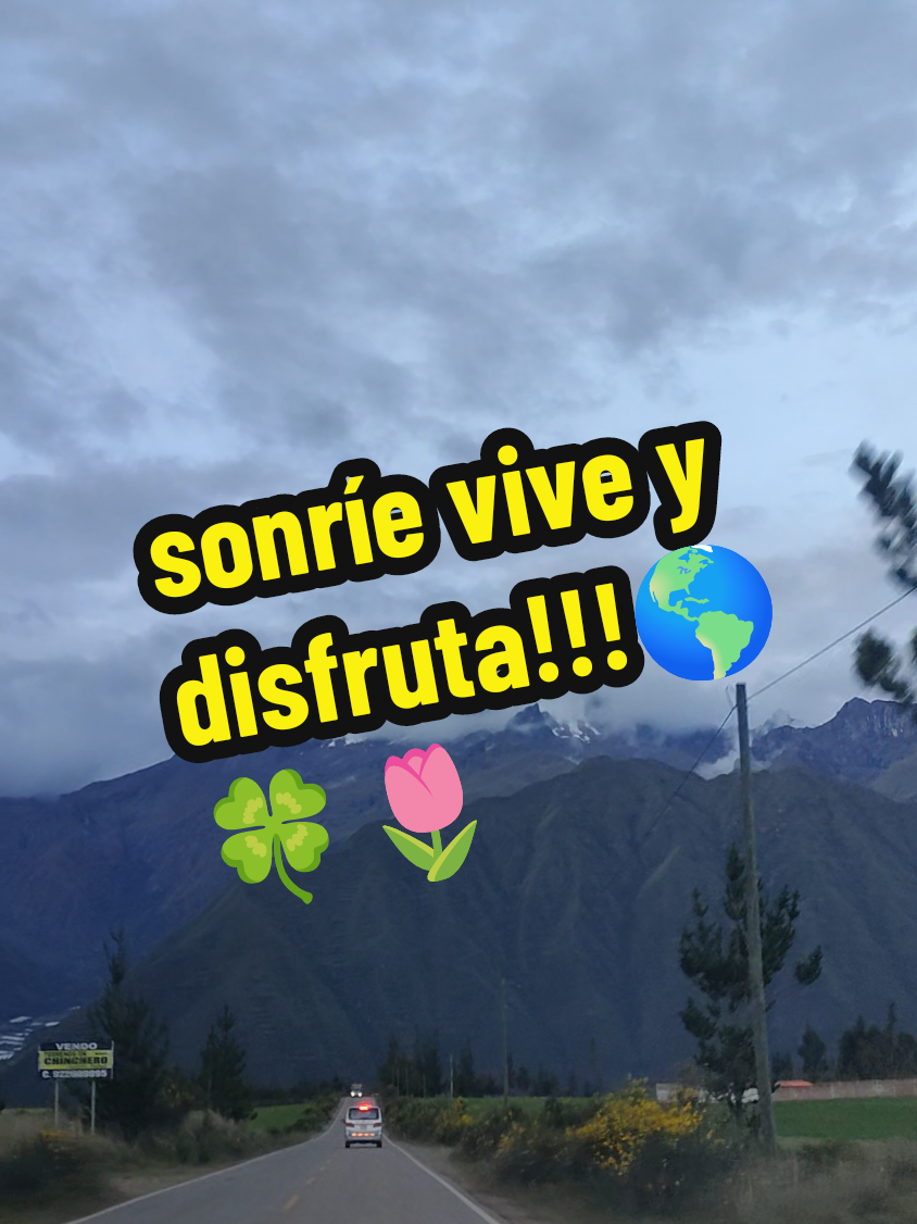 @Proyecto Pachamama, Te Sigue.