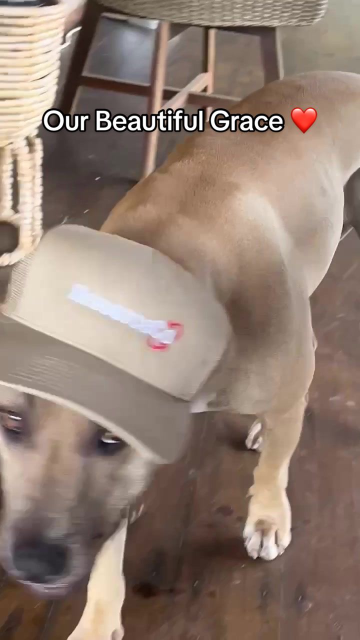 @🇦🇺🇦🇺🇦🇺🇦🇺🇦🇺✝️✝️✝️✝️✝️