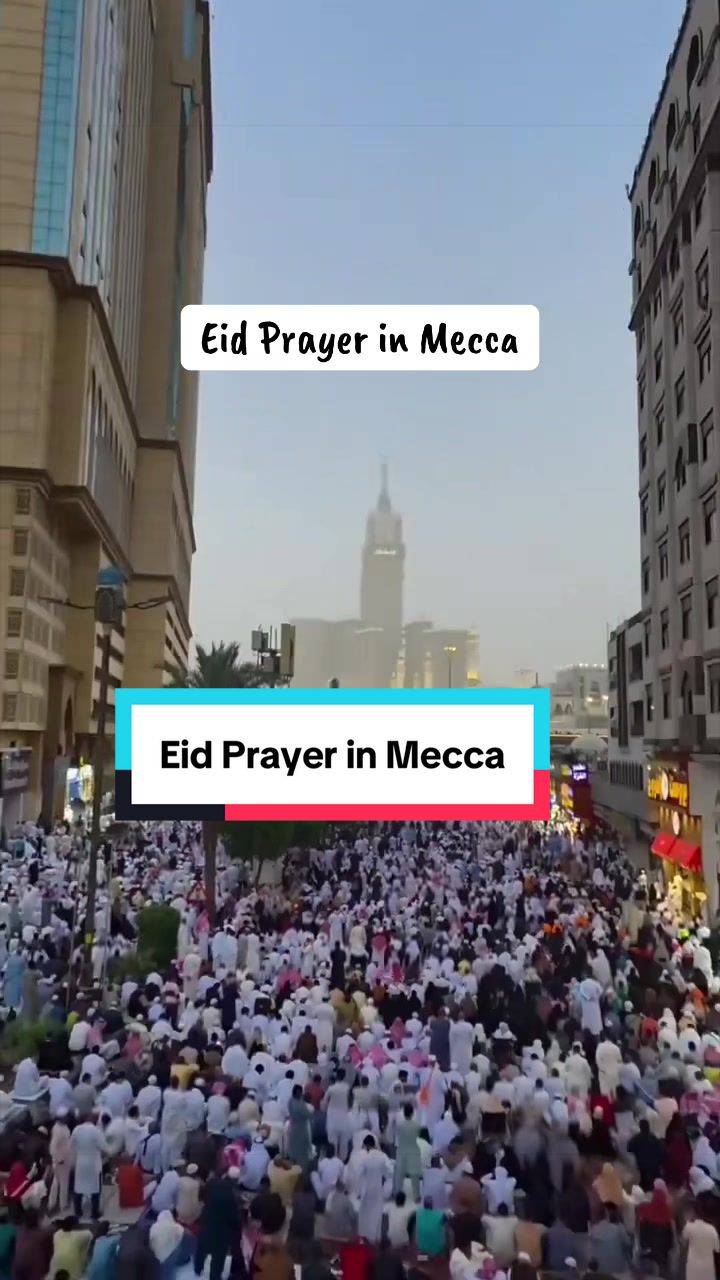 @The Muslim Diary