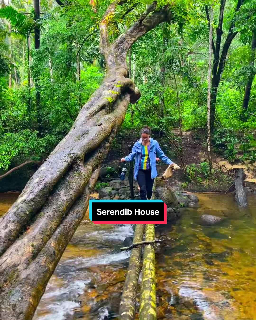 @Happy_srilanka