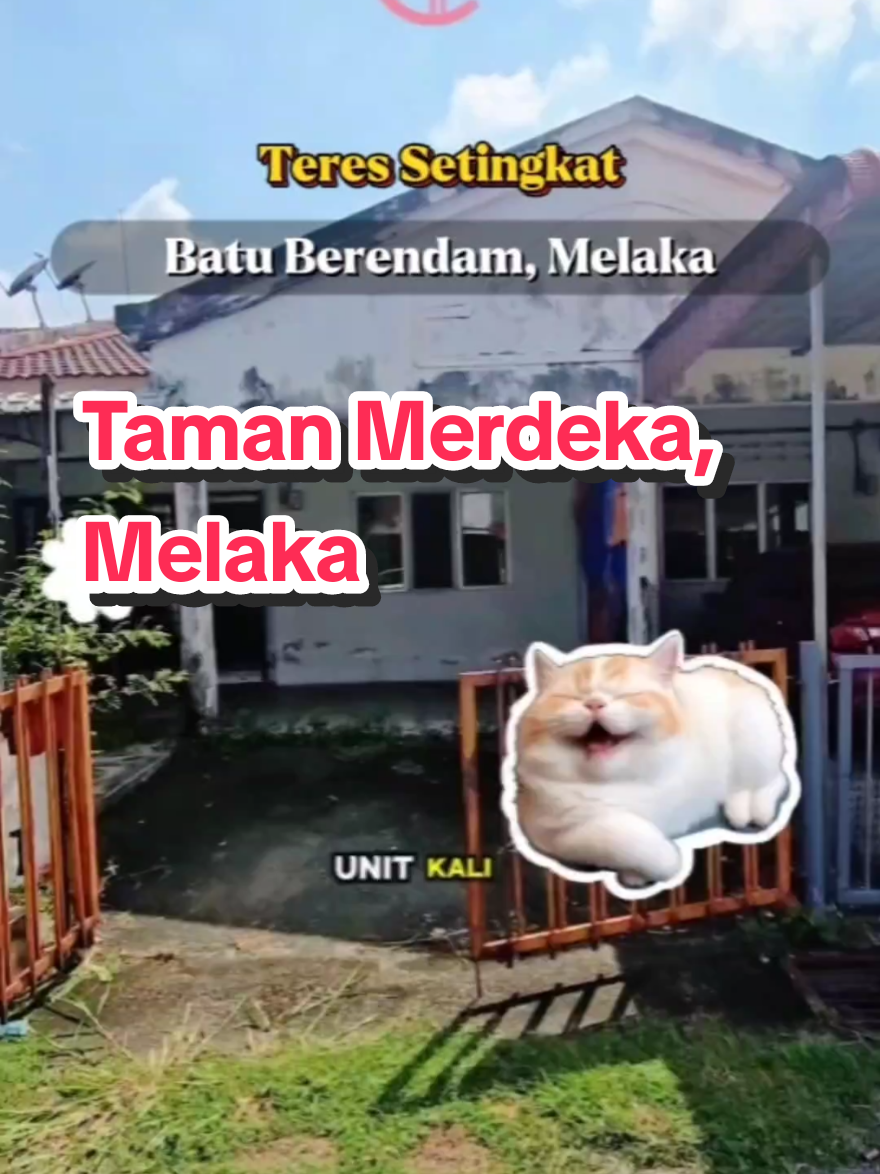 @CiK Yam Haslan