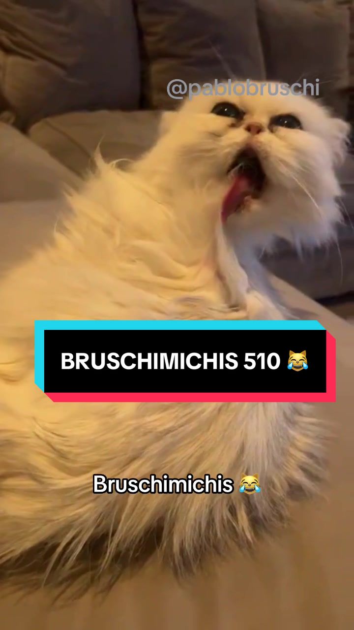 @Pablo Bruschi