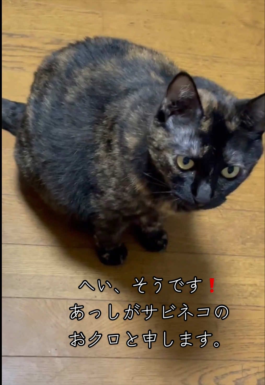 @聴々物語PROJECT