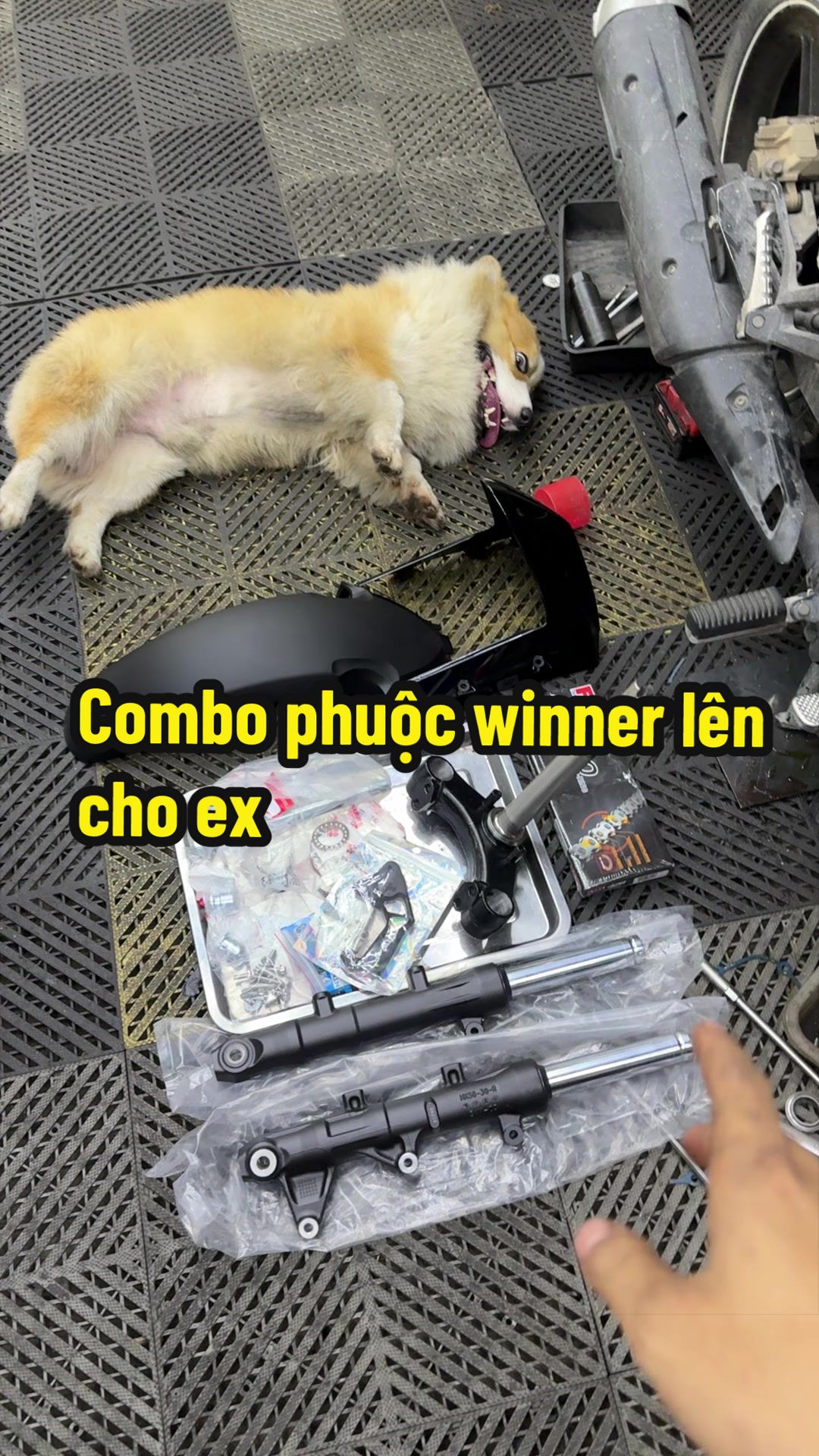 @Đạt Là 🇻🇳
