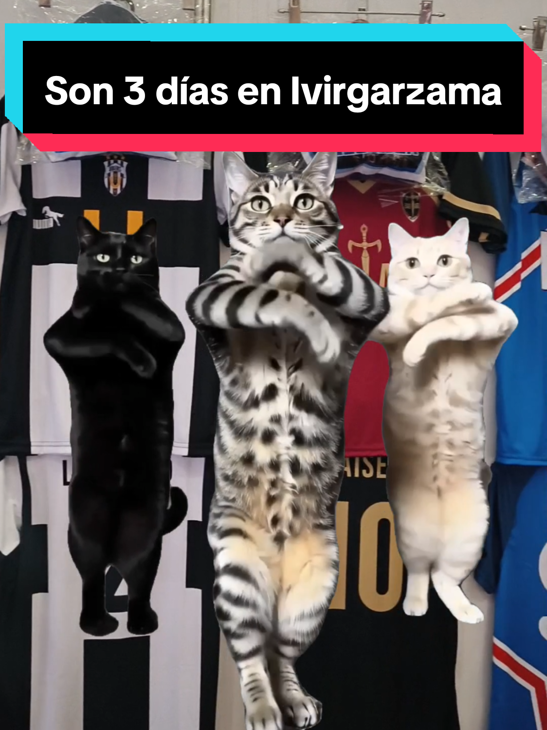 @Li Cosplay
