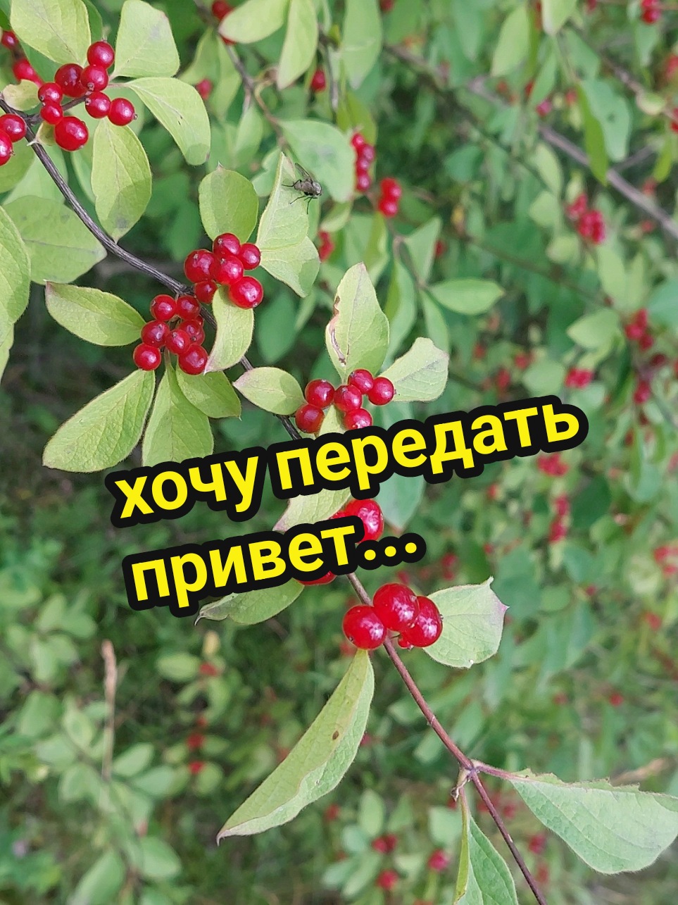 @Рыся✔️🇧🇾