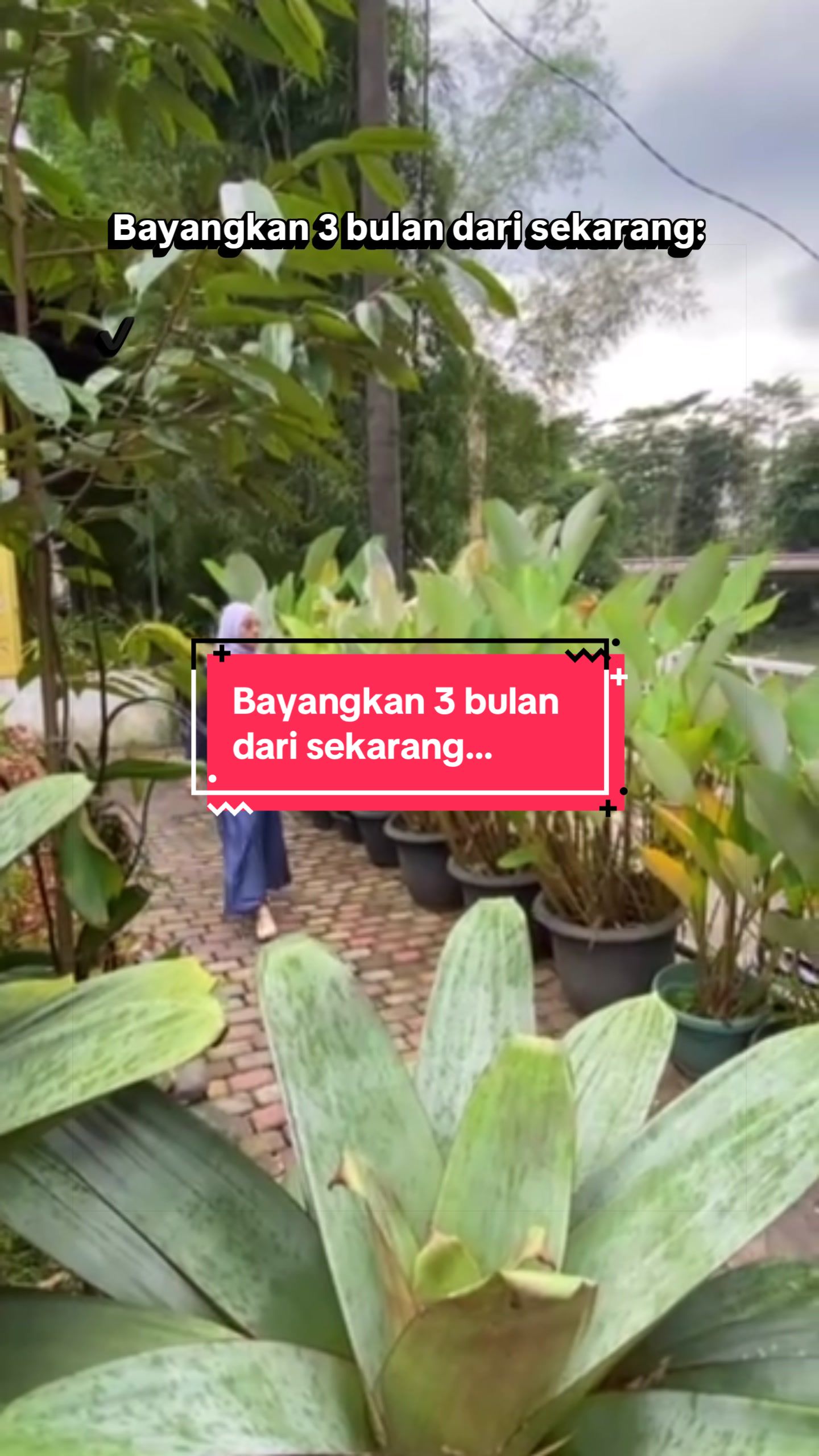 @Dr.Nugra_TWS Consultant