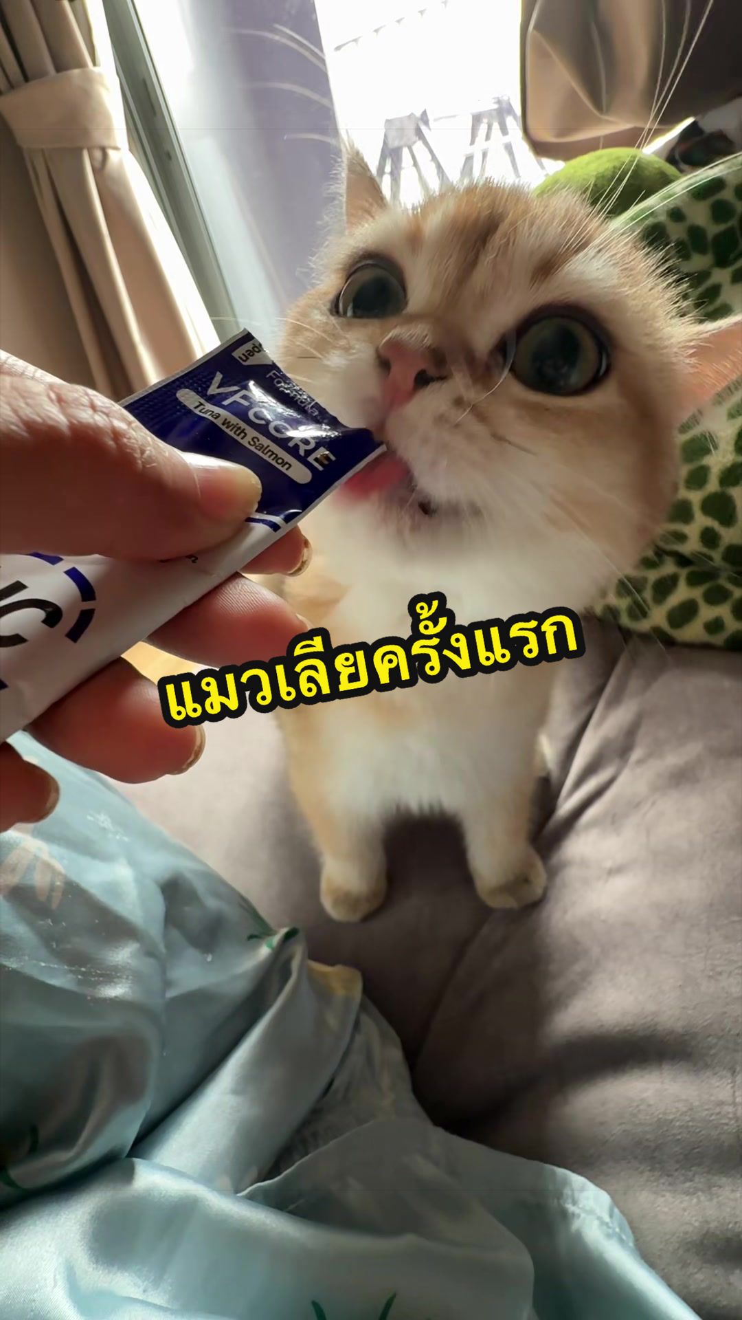 @Djpingping