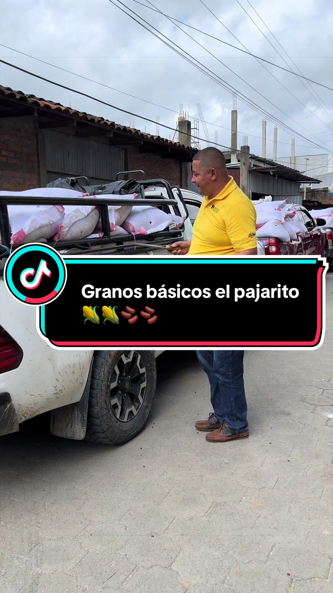 @Granos b&aacute;sicos &eacute;l pajarito 🌽
