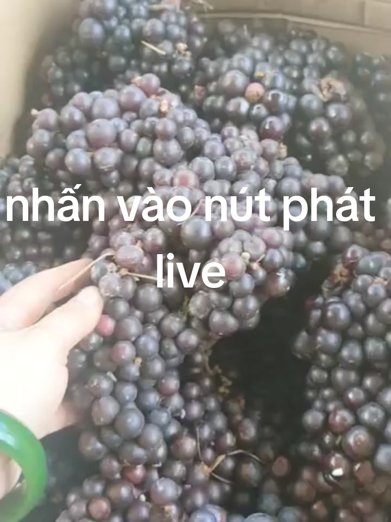 @Cô Gái Tây Nguyên#
