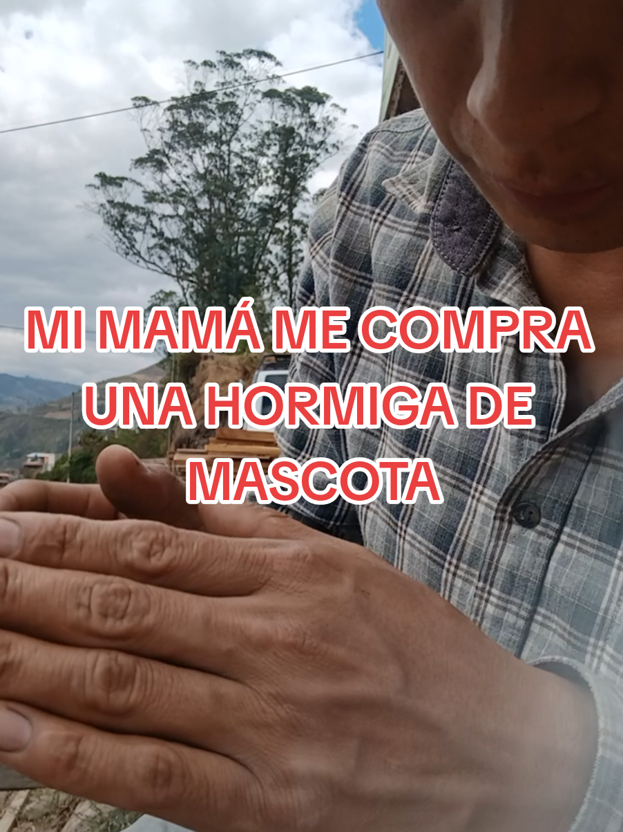 @Luis Escala