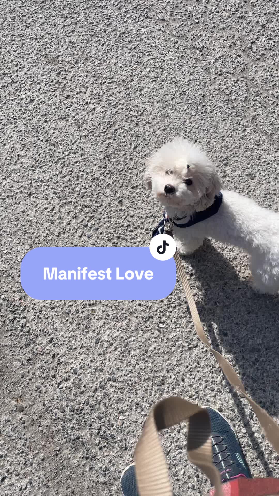 @Teona-Manifestation Tips