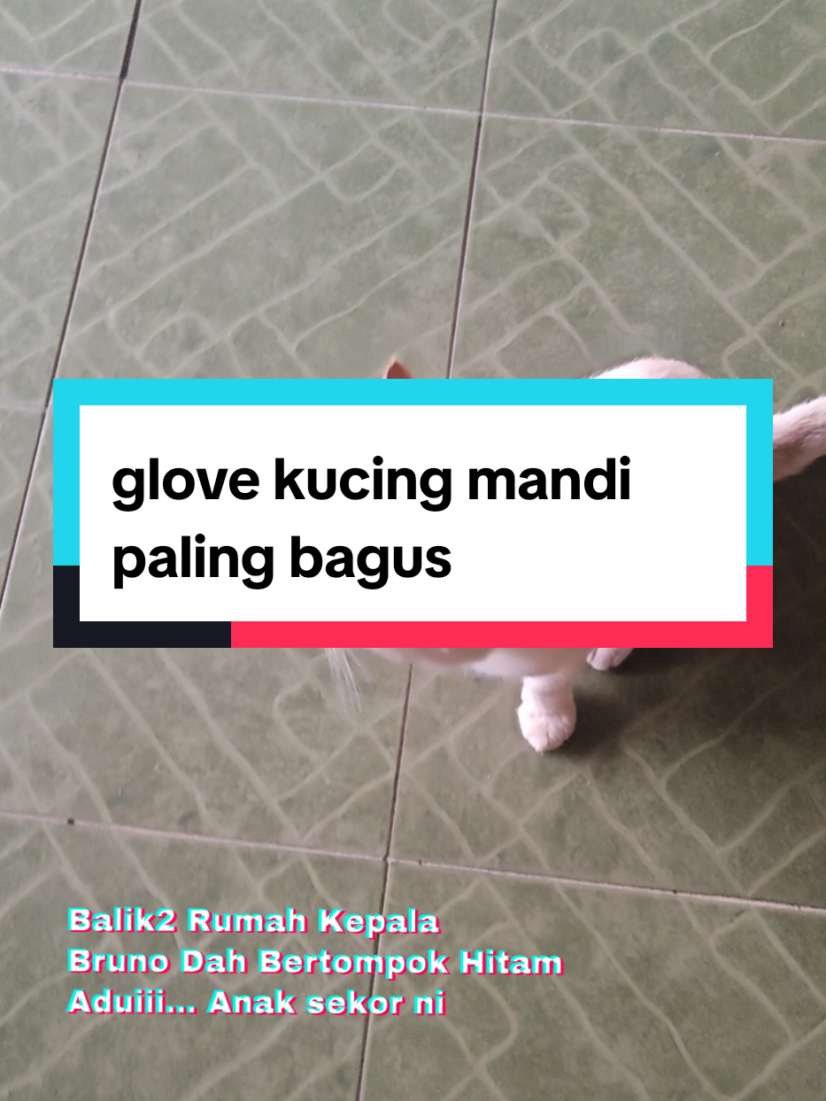@AZMI ABDUL HAMID | AzmiRFemcee