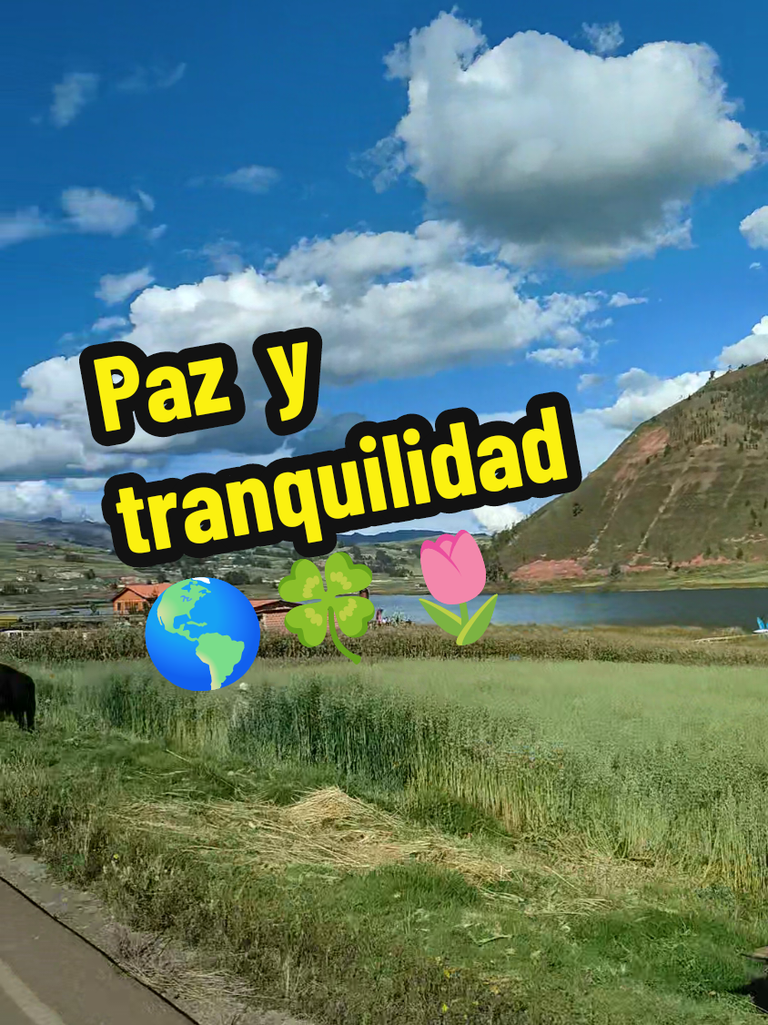 @Proyecto Pachamama, Te Sigue.