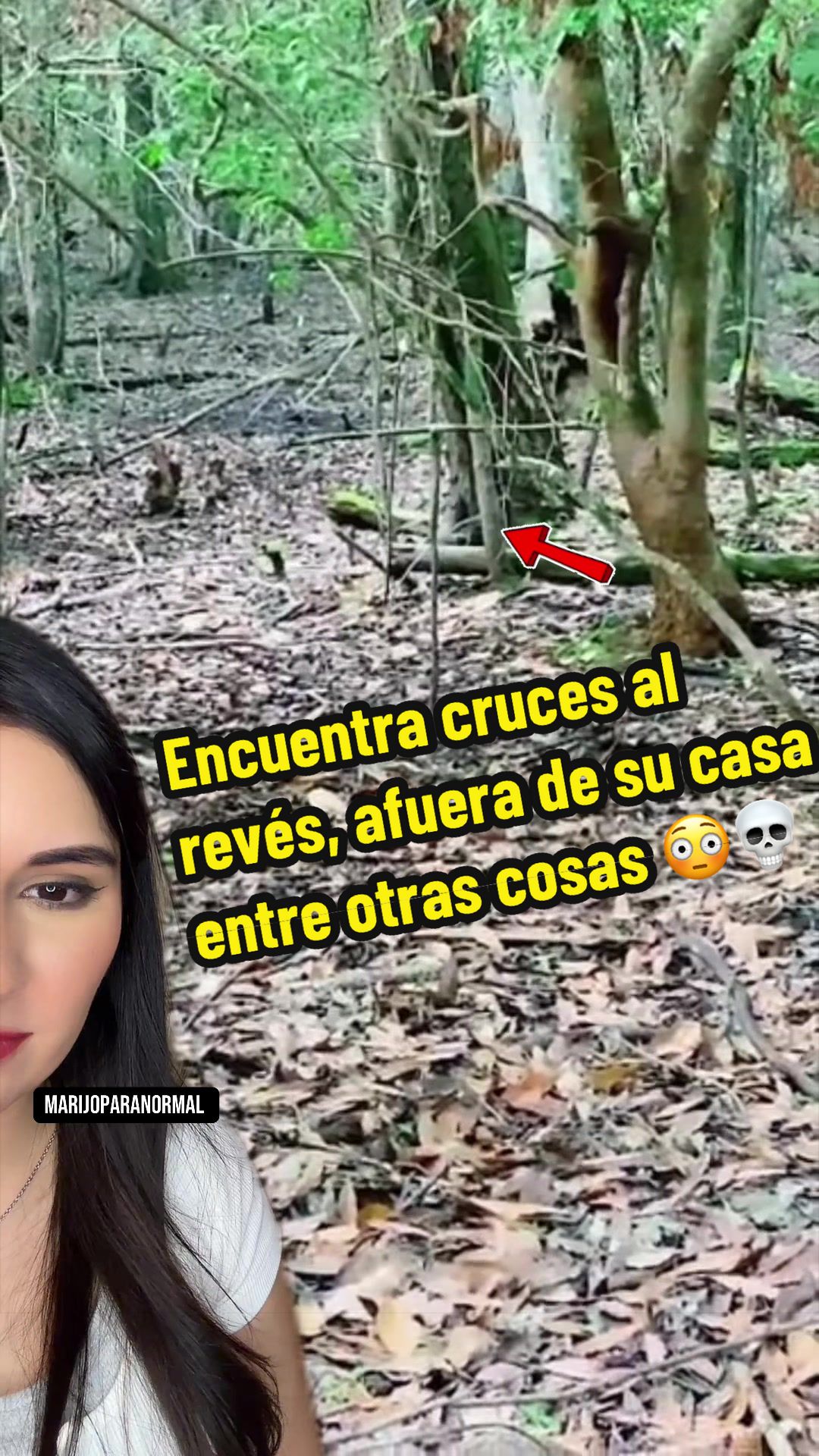 @MaríaJosé Arce