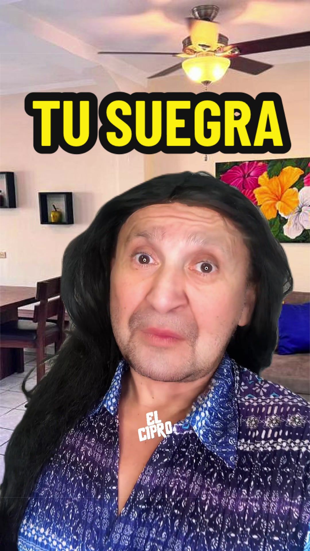 @ElCipro&reg;
