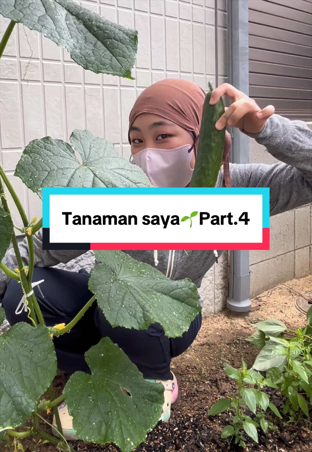 @Akari🧕🇯🇵×🇯🇵