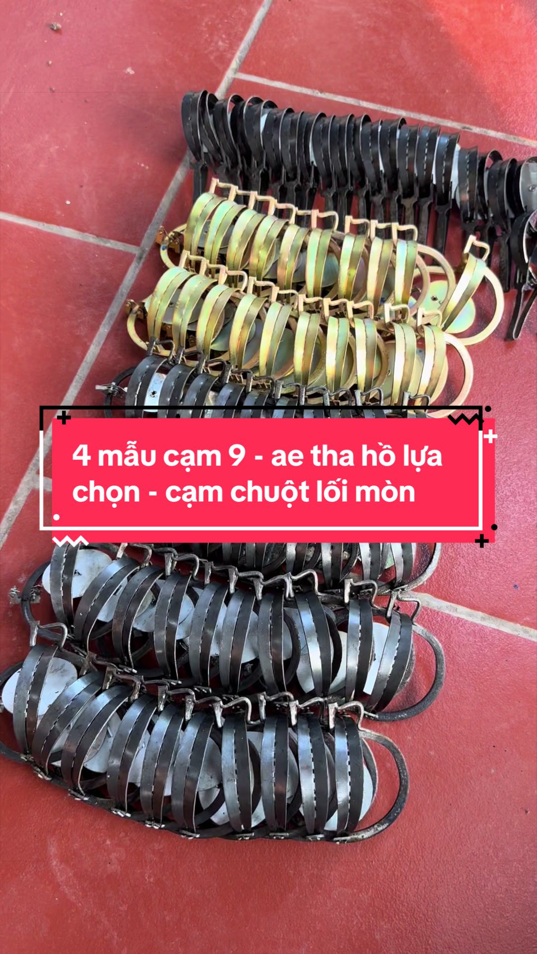 @Bắp store09.69.7,2,2#5,3/6