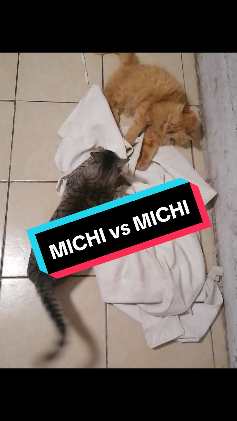 @michitiendachile