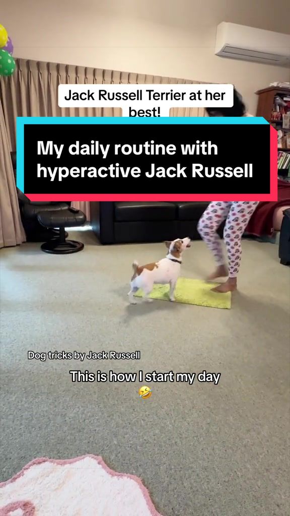@lucygoosey379