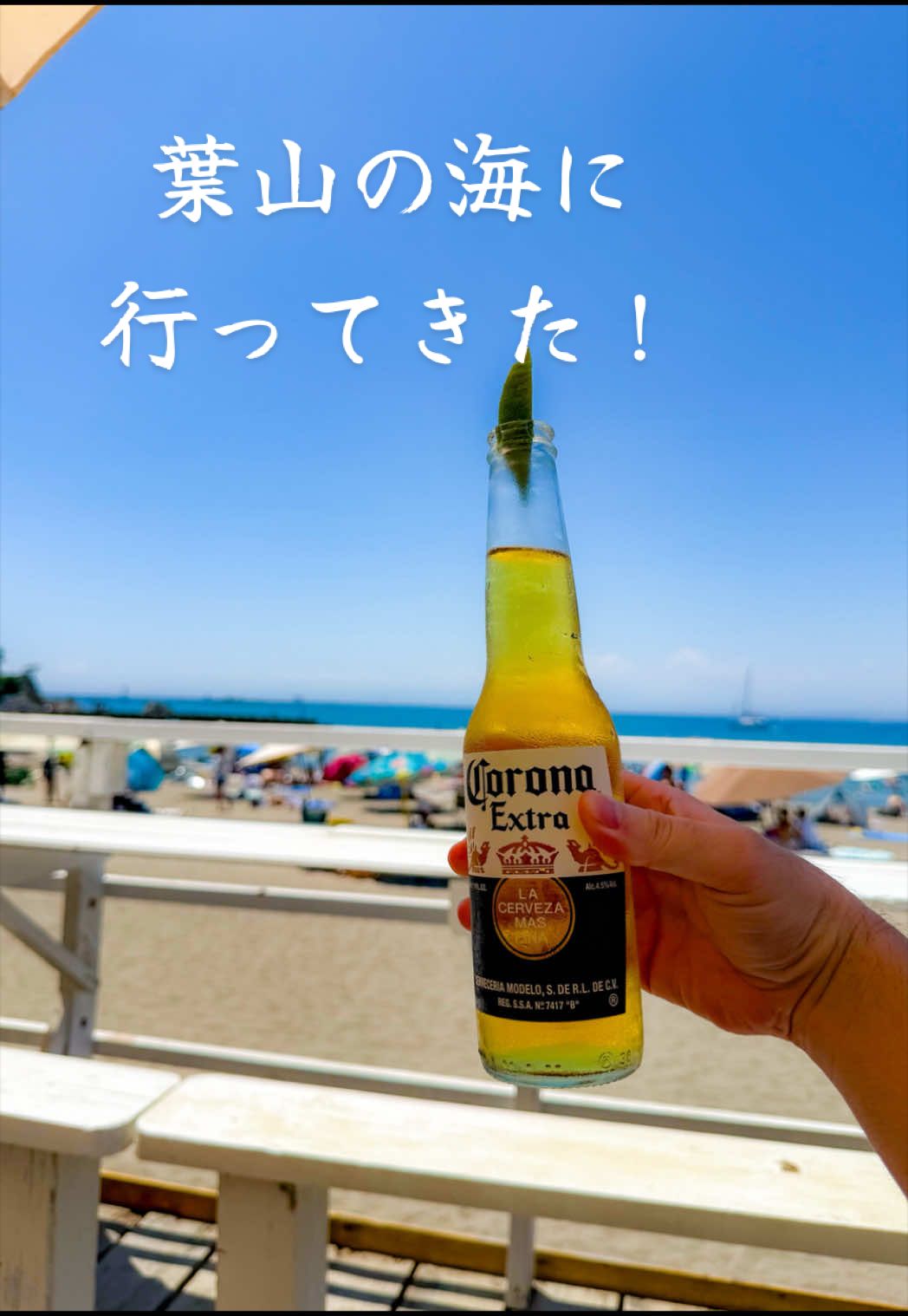 @KOJI