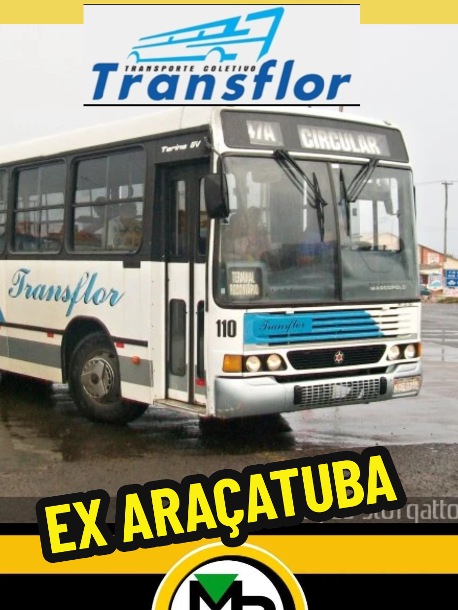 @Mem&oacute;ria da Busologia