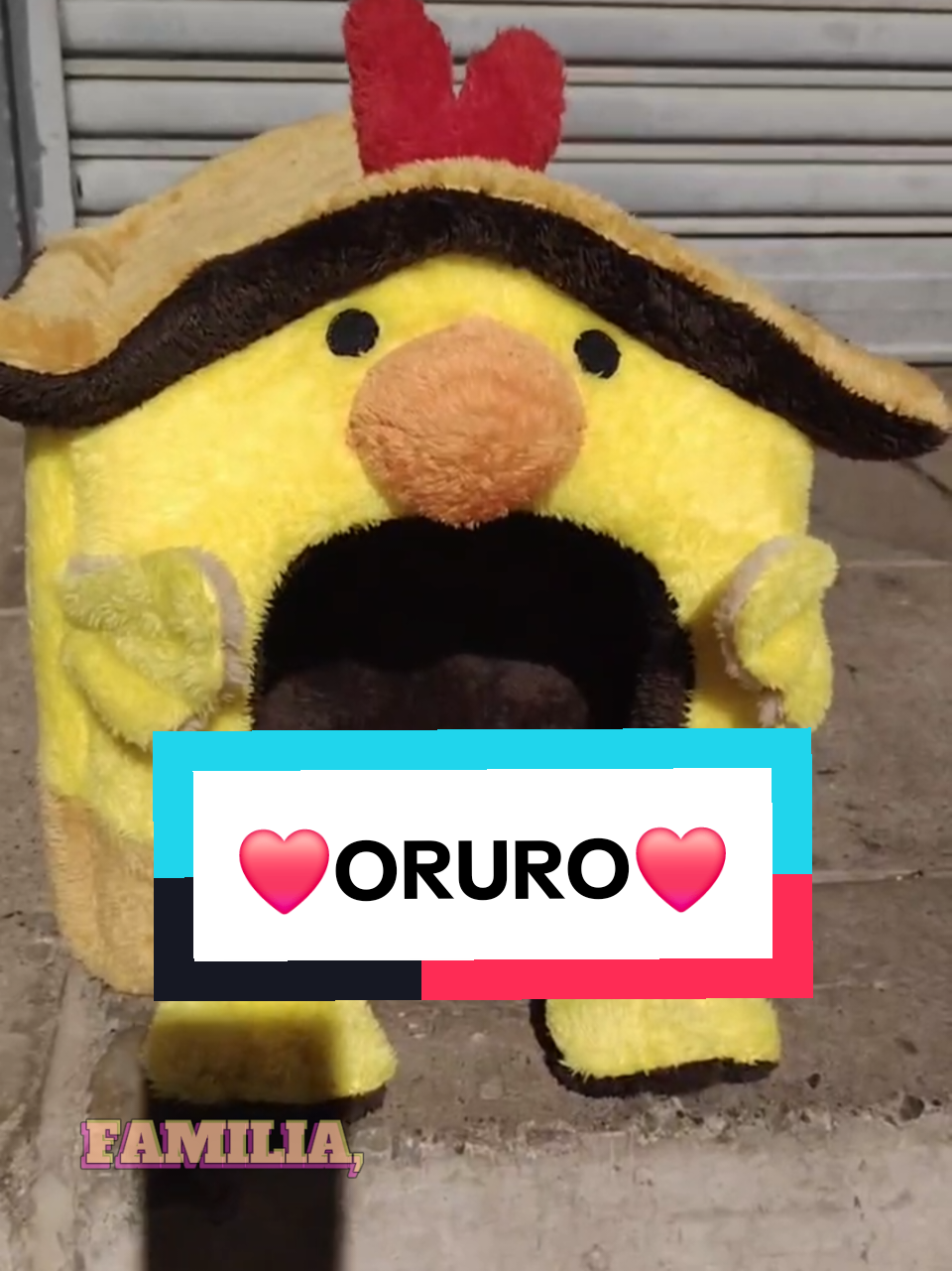 @Minxgia Pets