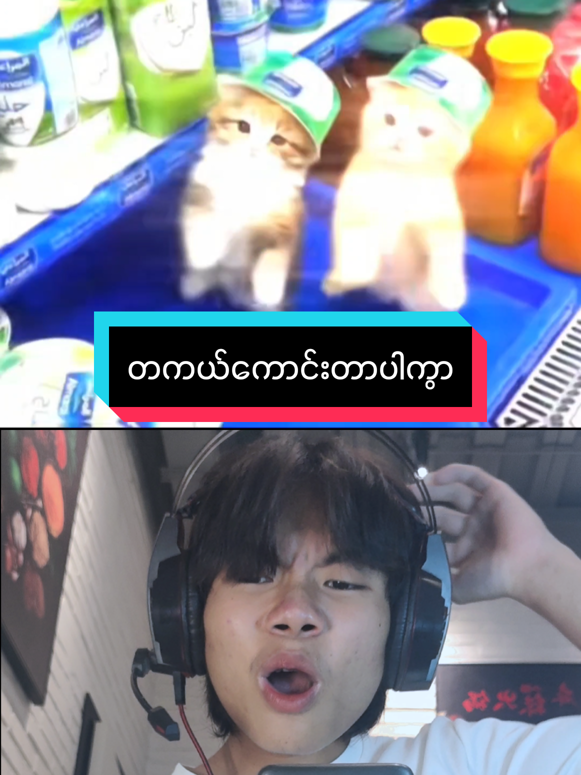 @⚡T᩶ K᩶ C᩶h᩶o᩶u᩶⚡🇲🇲🇲🇲🇲🇲