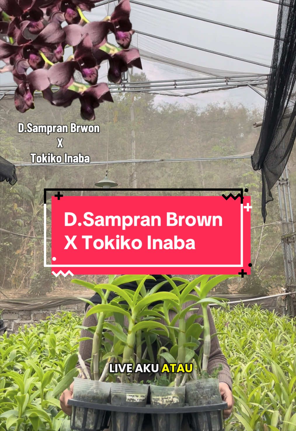 @Griya sekarindo utama