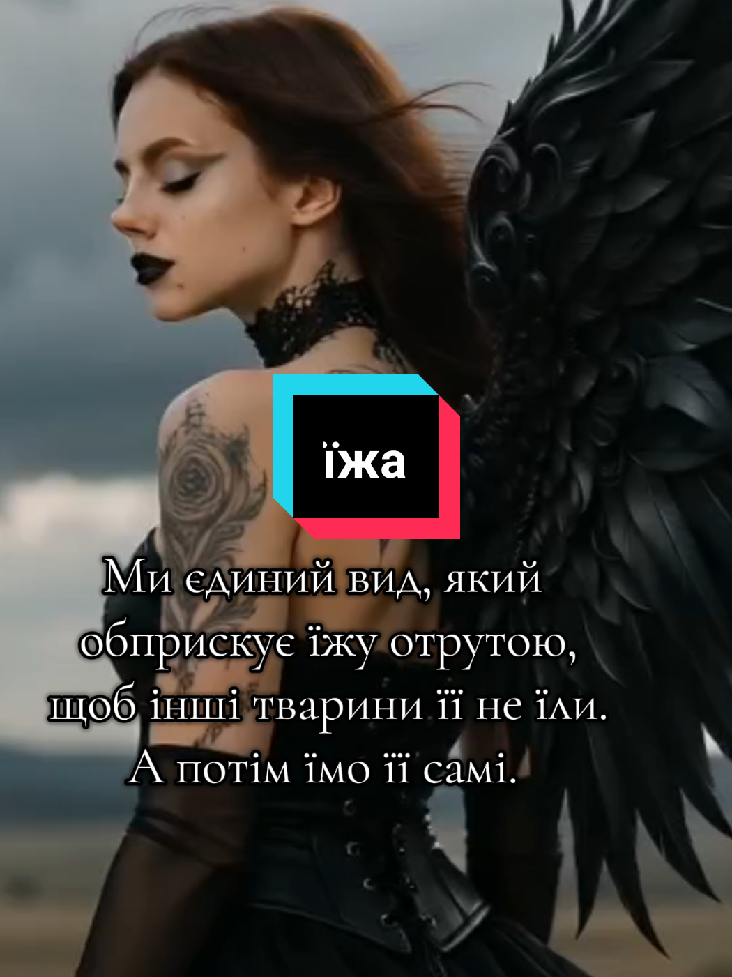 @Viktoriia_V