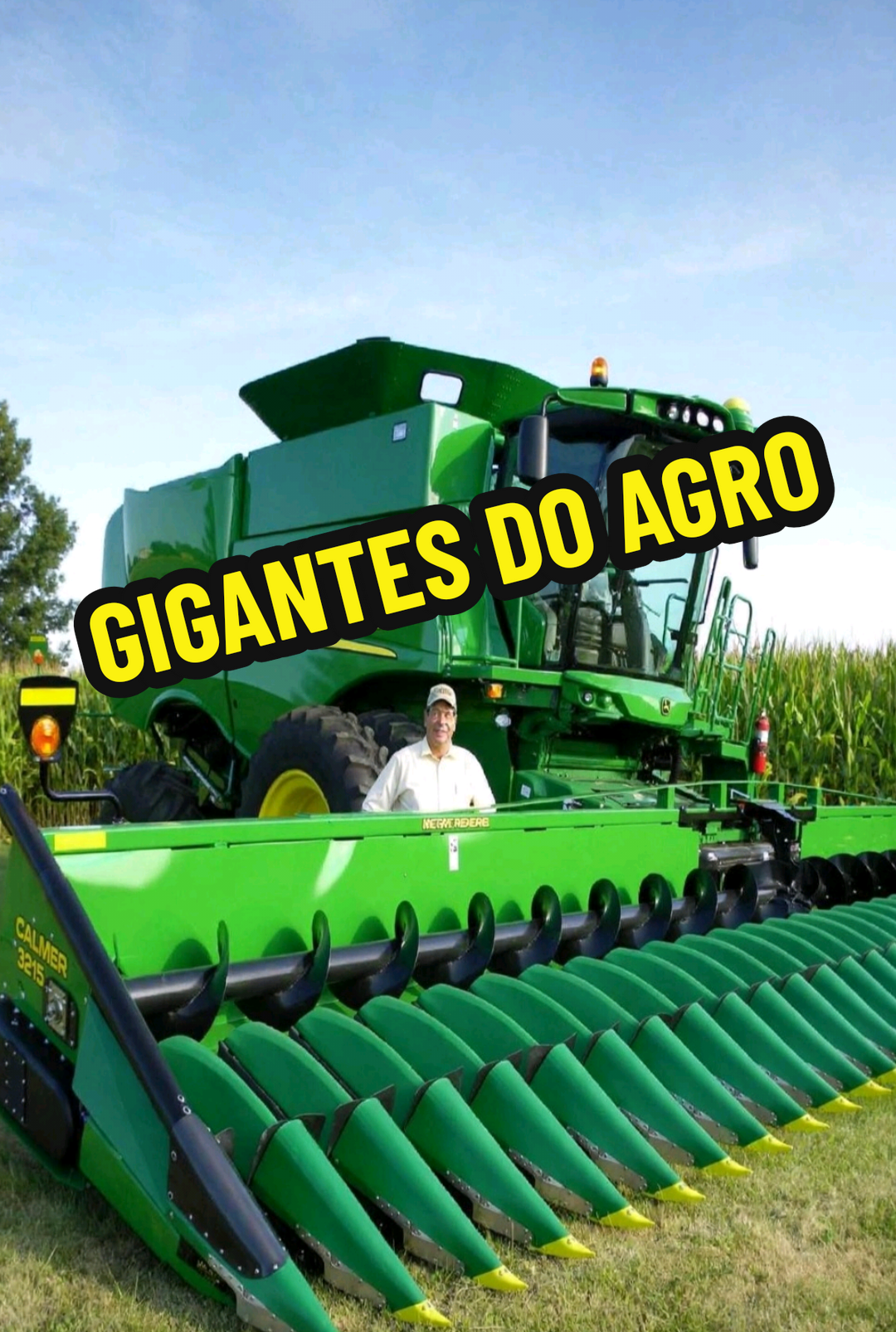 @RAIZ DO SABER